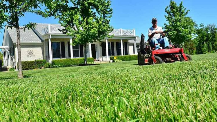 What to Do in Spring for Lawn Care?