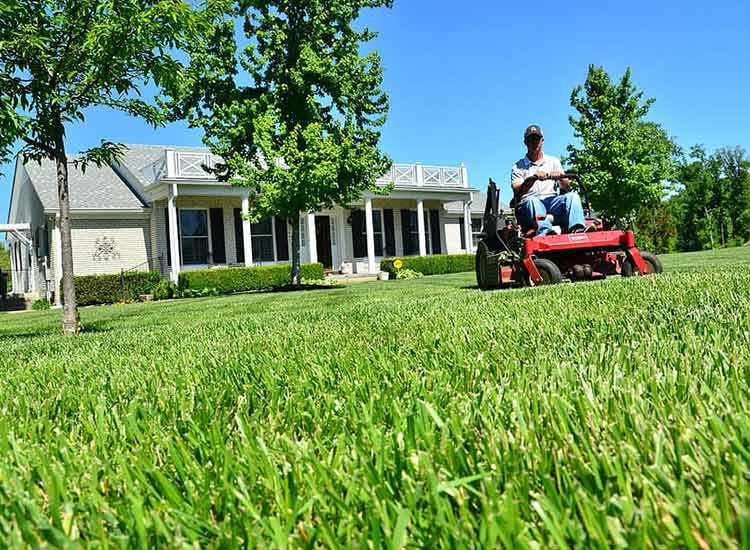 What to Do in Spring for Lawn Care?